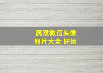 属猴微信头像图片大全 好运